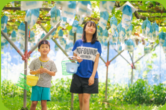 農園を探検する子どもたち