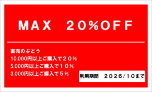 20%OFF券